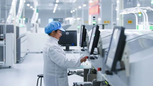 最强大脑赋能南海新区创新发展 新材料技术研发